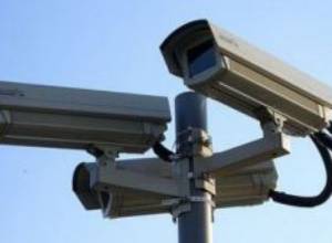 Дерево подрезали ради спидометра.