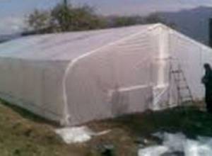 Турецкие помидоры ударяют по сельчанам