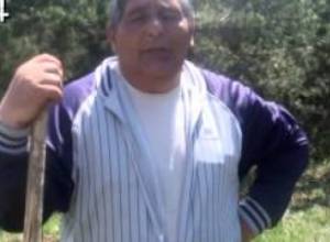 Նախարարը ծառ տնկեց