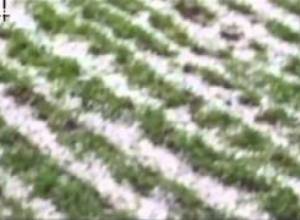 ՀՀԿ-ին են ընտրել, բայց կարկուտն էլի բերքը տարավ