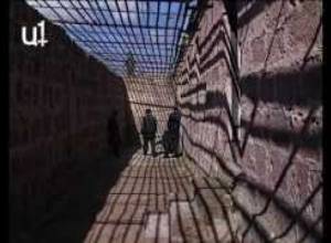 Ցմահները առանց հույսի