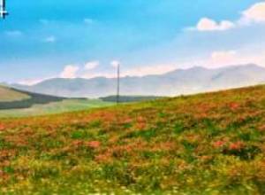 Քո Աչքերովը այս շաբաթ