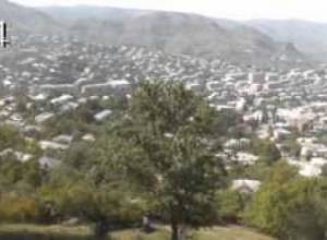 Բերդին հետևում էԲաղրամյանի ծառը