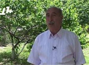 Ինչպե՞ս խուսափել կայծակի հարվածից