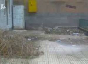 Այսօր շրջակա միջավայրի պաշտպանության օրն է