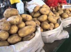 Պտուղ-բանջարեղենի արտահանումը նվազել է