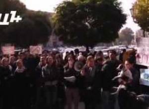 «Շներին սպանում են քաղաքապետի հրամանով»