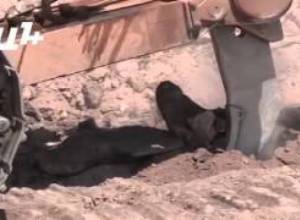 Ոչ մի կոպեկ չի վճարվել թերությունների համար.փոխնախարար