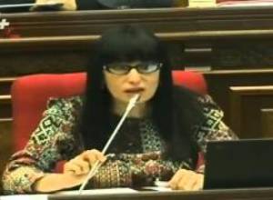 Էս օրենքի ձեռքը հո կրակը չենք ընկնելո՞ւ. ԱԺ-ում