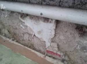 «Սպիտակ արջի» դպրոցի գորշությունը