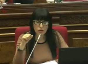 «Օրենքը լավն է, բայց չի գործի»