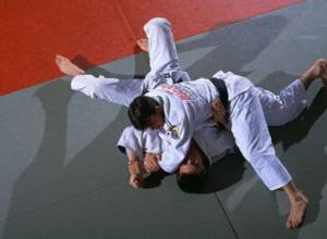 Judoists scored five medals