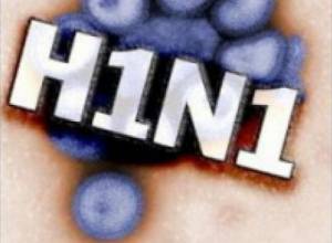 Two more people died of swine flu in Armenia