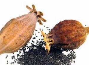 Opium found