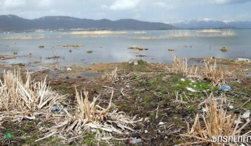 880768a290955da31522912aa042ee0d