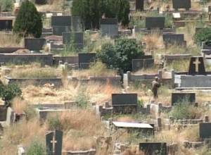 Cemeteries inhabited with insects and reptiles