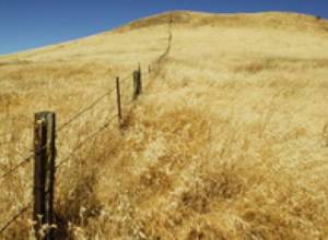 No shots heard in the presence of mediators