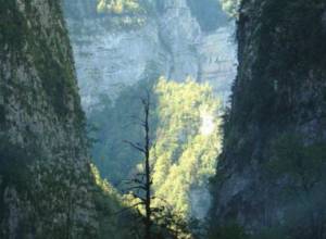 Soldier fell in canyon