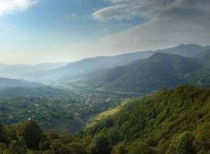 Monitoring on the line of contact