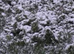 Snowfall to continue