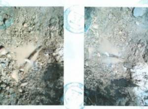 Looking for the main culprit