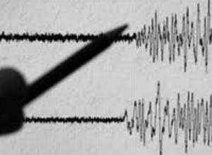 597 earthquakes in a year
