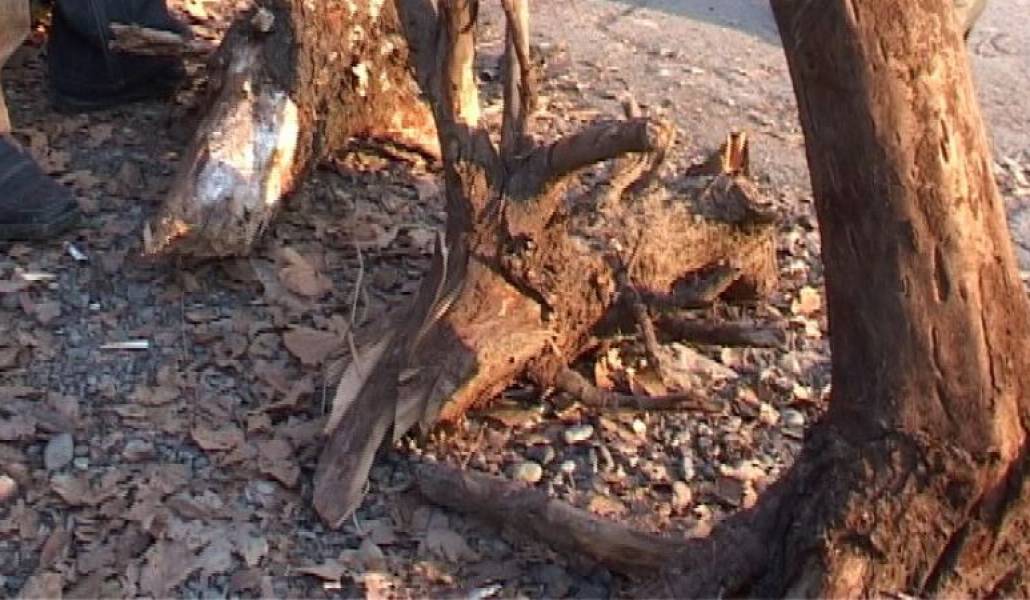 43882046d9246171d4dce0d222aae467