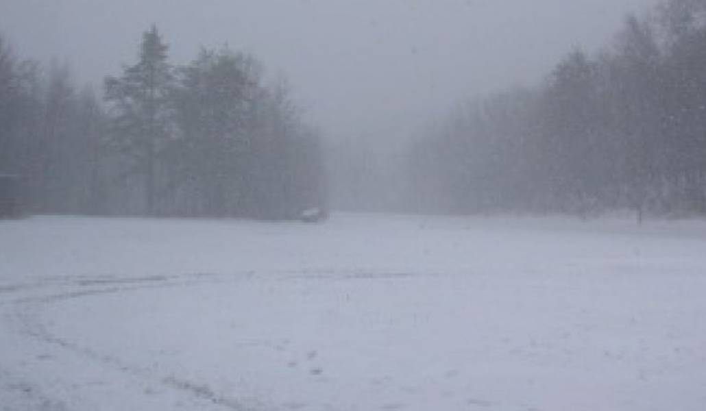 31fd046b3a6a7bbe13fbc5dbd9218b3a