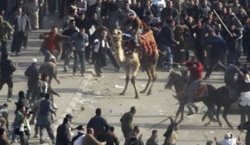 386329ba8f1b80f9c65cd19d232081b1