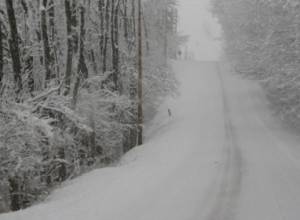 Snowing, roads are closed