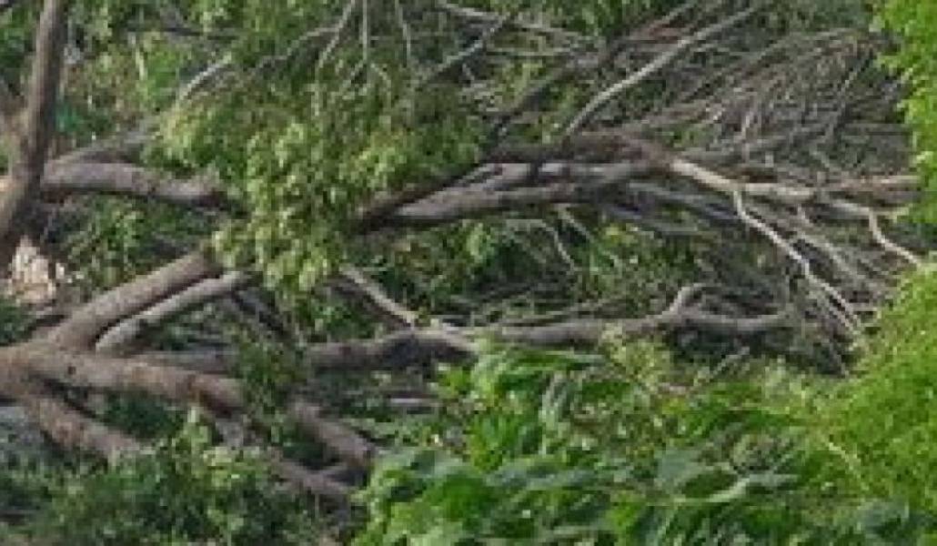 9cc6de29339eb4cdd2012817b8633888