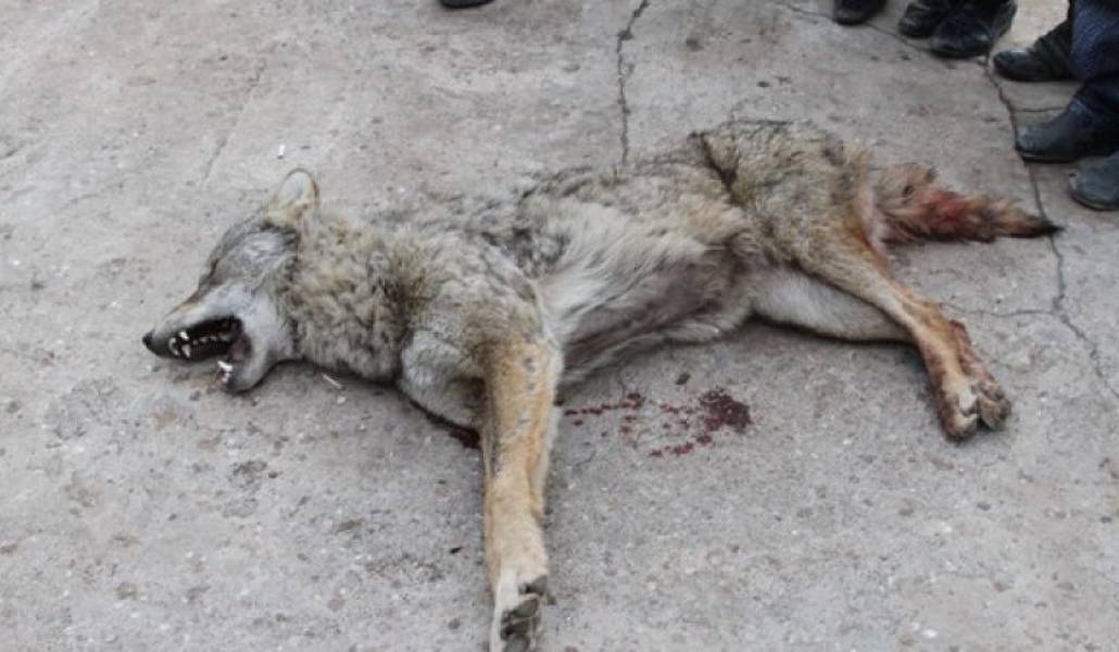 22b9d0e31ab29fbd5d15c348918ecc0c