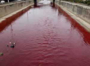 River filled with blood