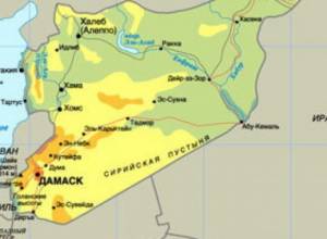 U.S. and its allies consider military steps in Syria