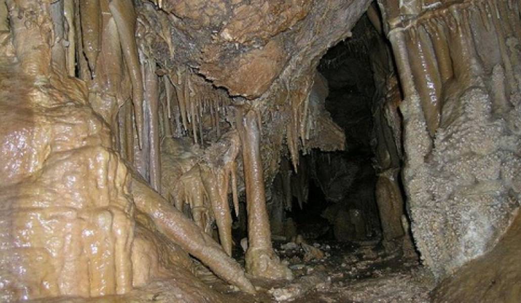 1f3a07d9e9532866d0b37d3d25a19486