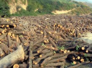 Is there really progress in Armenia?