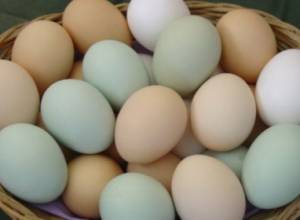 Egg prices won’t go up “too much”