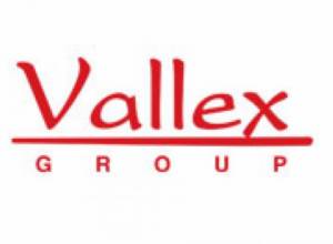 Vallex: They were under the influence of alcohol