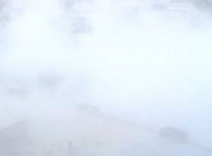 Circus razed to the ground