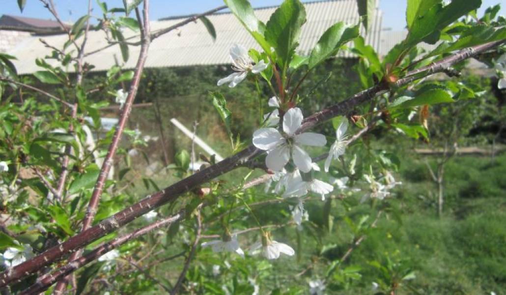 3192fdb8324b56a5c1429796f76c66c2