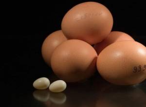 Eggs of Yerevan Poultry Factory recalled