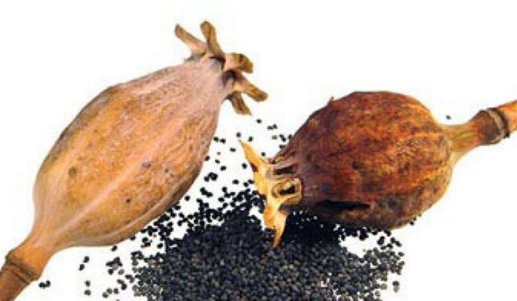 563d2ae182b3dfae6e6b0b667e204d15