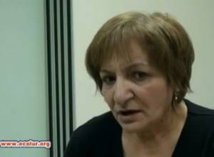 Resort zone may be destroyed