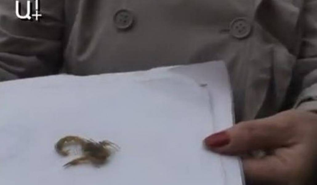 268d31d54fd06dacbddb80db4a48c4dd