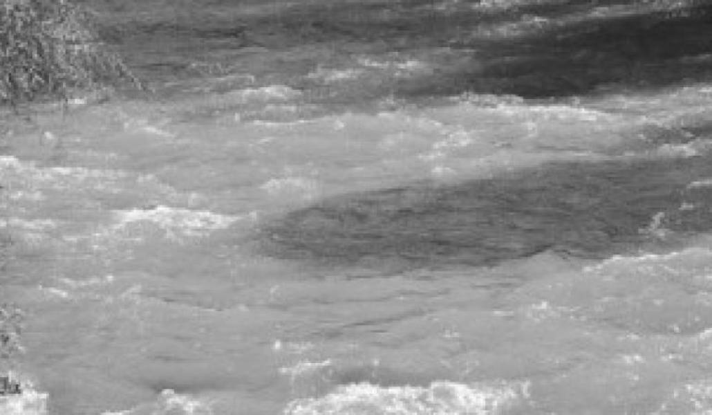 876bc05dcb4983fd8985f7956326afa5