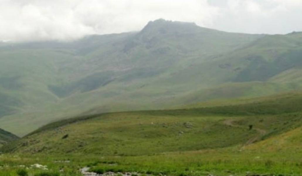 a88c97d5e38747e4573a8d323298b625