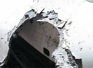 Rabid dogs attack Toyota Corolla, eat front shield