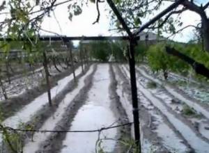 Armenian Red Cross supports hail-stricken communities