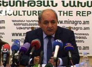 Սպասվում է մոտ 8000 տոննա ծիրանի բերք