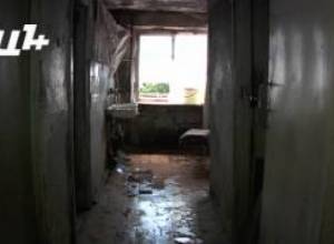 «Ոչ մի օլիգարխի շուն ստեղ չի ապրի»